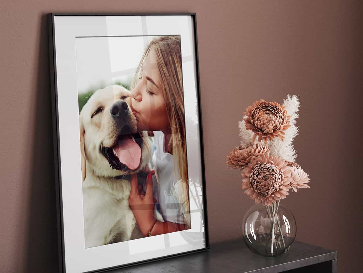 Image of a dog as a framed print
